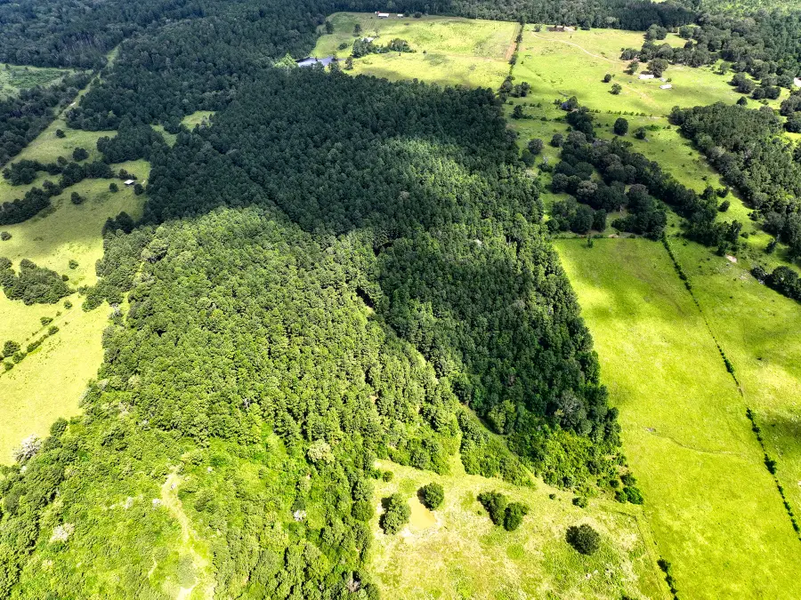 TBD Cr 4120, Crockett, TX 75835 - #3