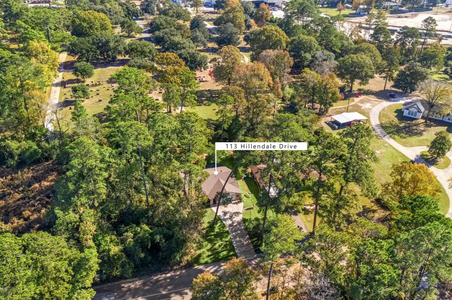 113 Hillendale Drive, Livingston, TX 77351 - #2