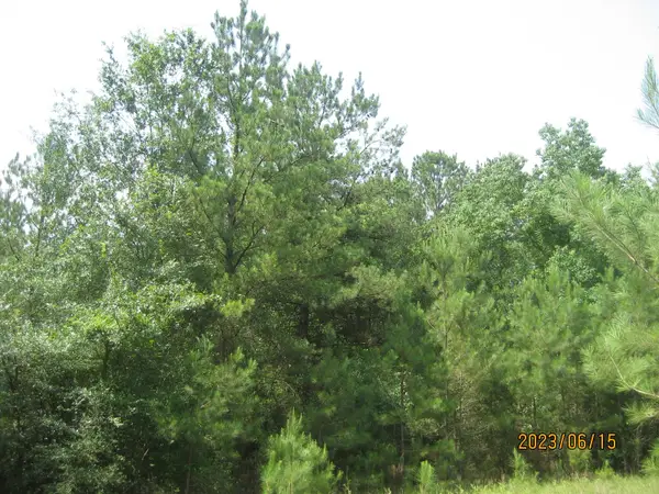 0 Round Up Road, Waller, TX 77484