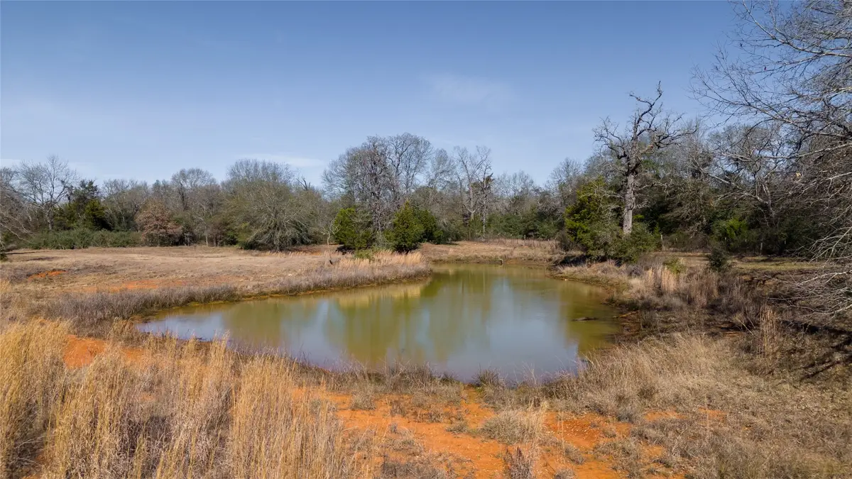Tbd Tract 6 Wallace Rd, Madisonville, TX 77864 - #1