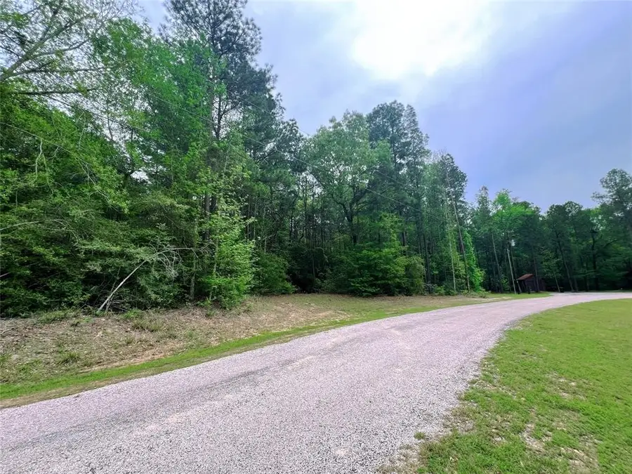 1-2-33 Dedication Trail, Huntsville, TX 77340 - #3