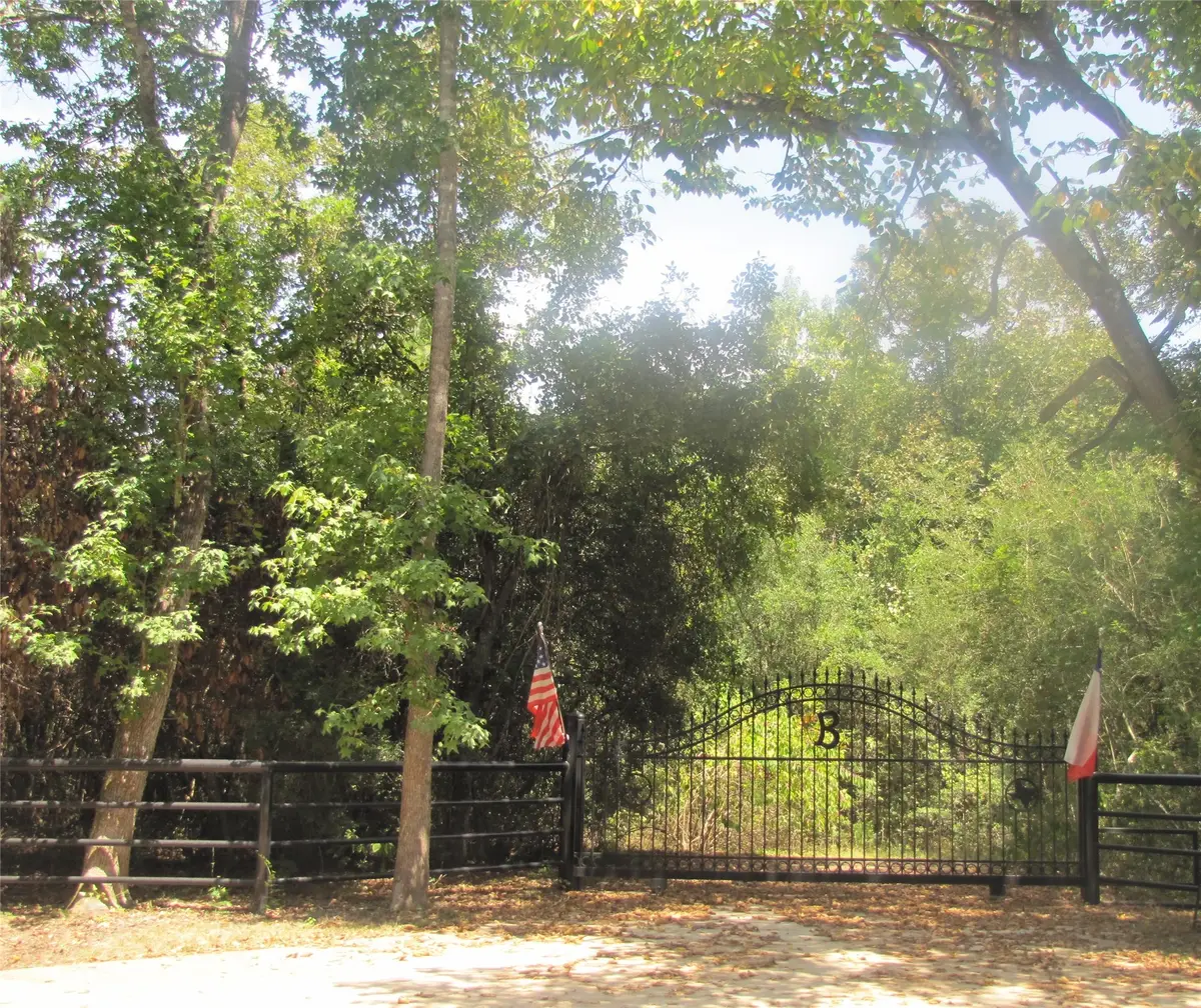 000 Tree Farm Rd, Magnolia, TX 77354 - #1