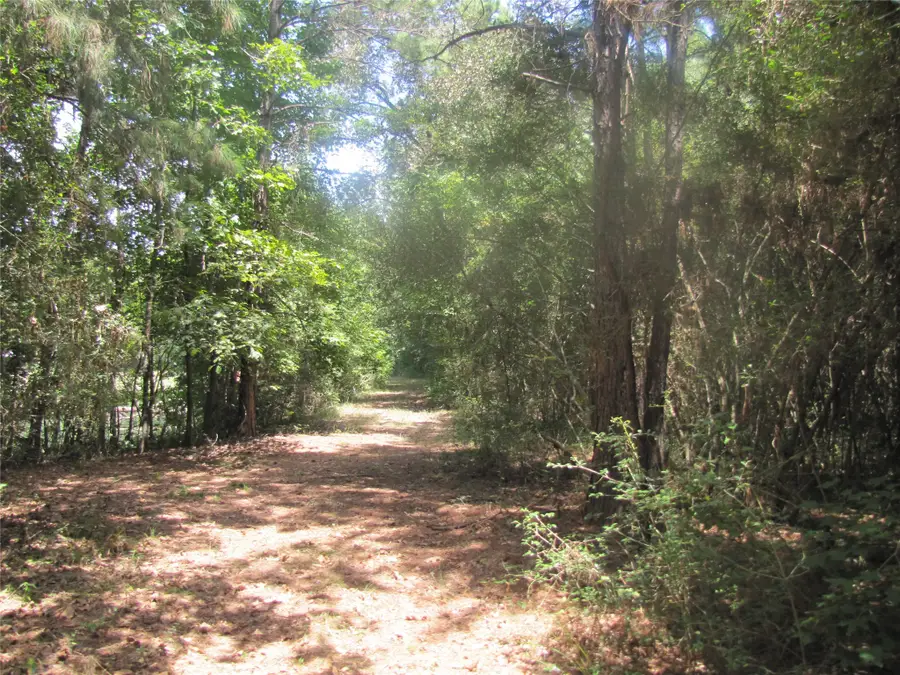 000 Tree Farm Rd, Magnolia, TX 77354 - #2