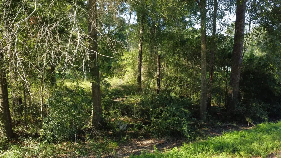 0 Spanish Oaks Dr, New Caney, TX 77357 - #3