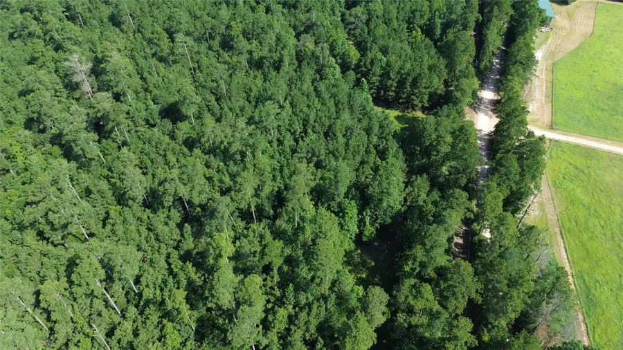 TBD Cr 4740, Kennard, TX 75847 - #2