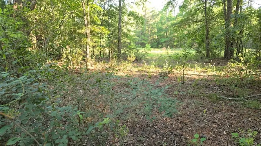 0 Bones Way Ln, Shepherd, TX 77371 - #2