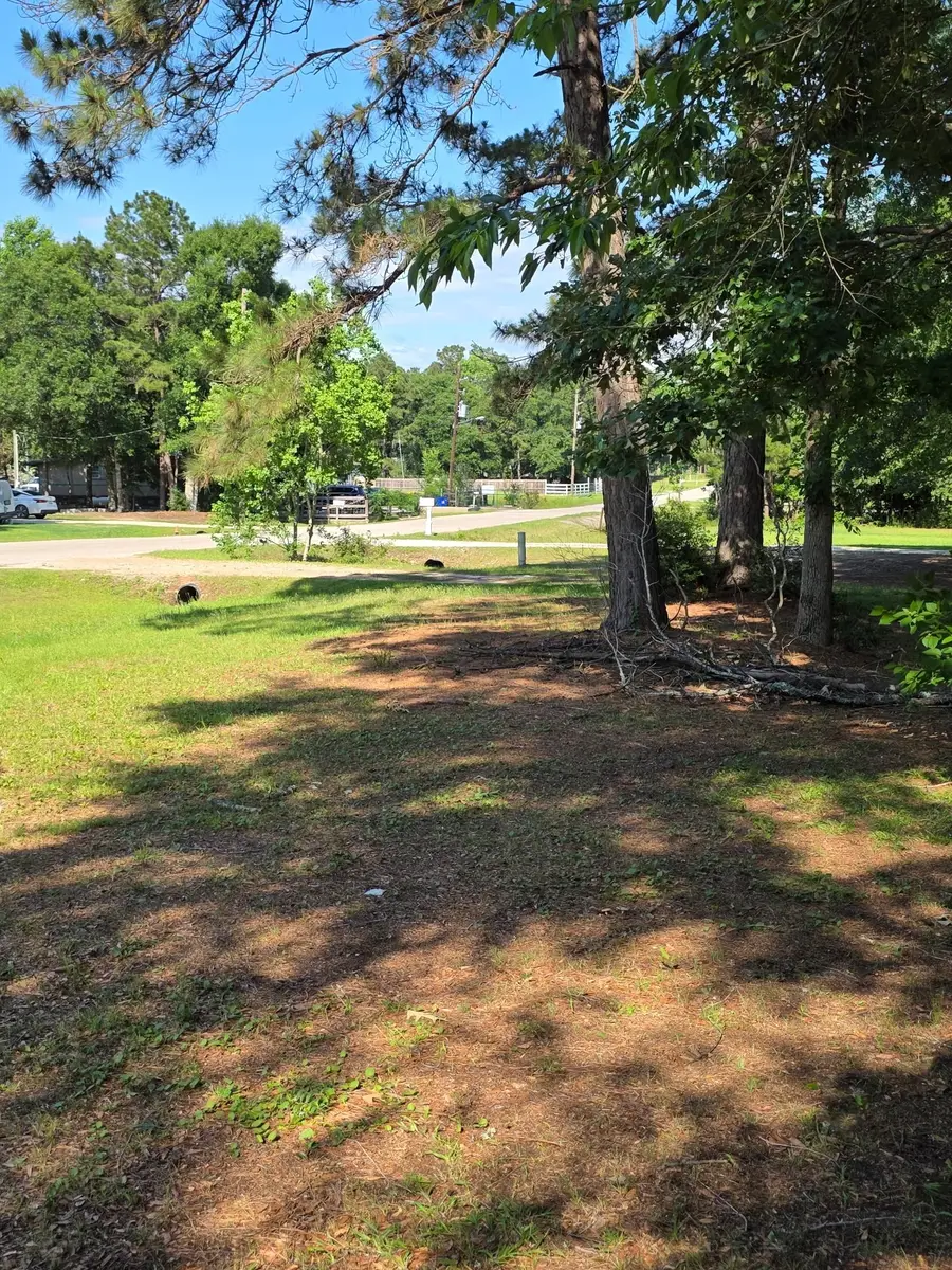 25356 Pine Knob Drive, Cleveland, TX 77328 - #2