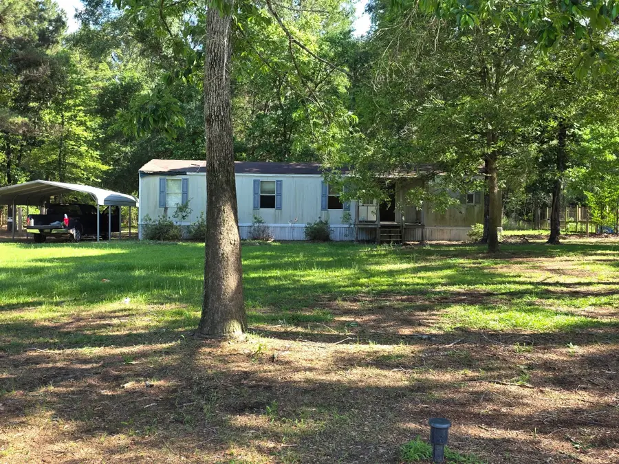 25356 Pine Knob Drive, Cleveland, TX 77328 - #3