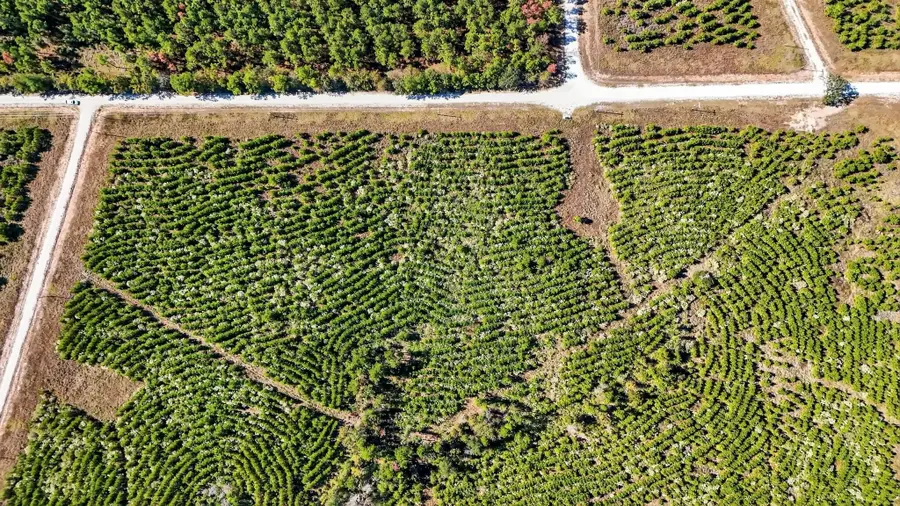 625 Trinity Trail, Lovelady, TX 75851 - Image #3