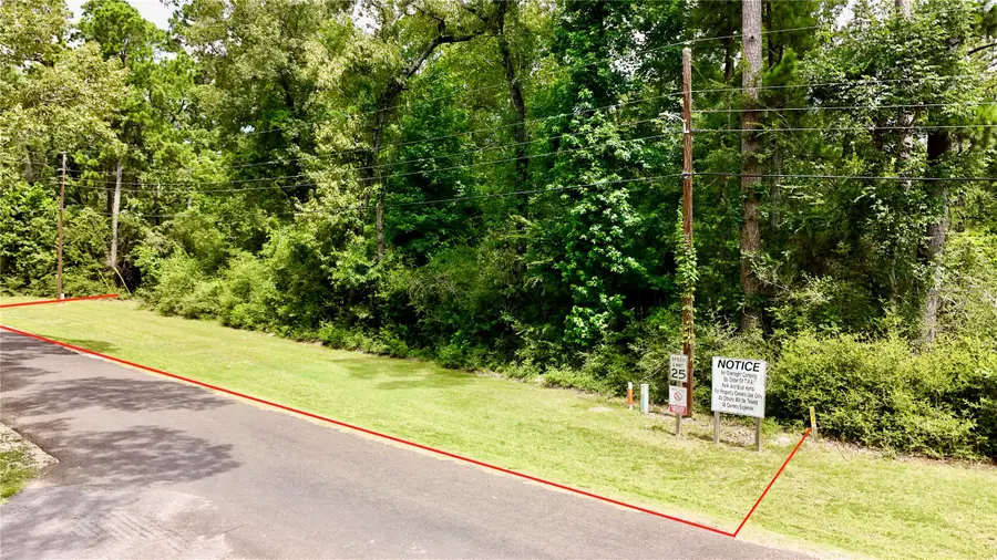 TBD China Berry Street, Onalaska, TX 77360 - #2