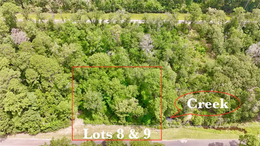 TBD China Berry Street, Onalaska, TX 77360 - #3