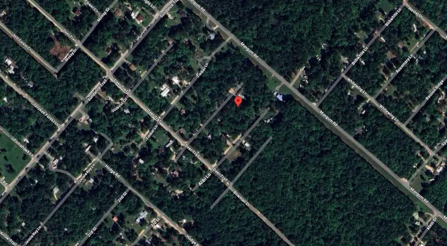 260 Kingfisher Lane, Livingston, TX 77351 - #3