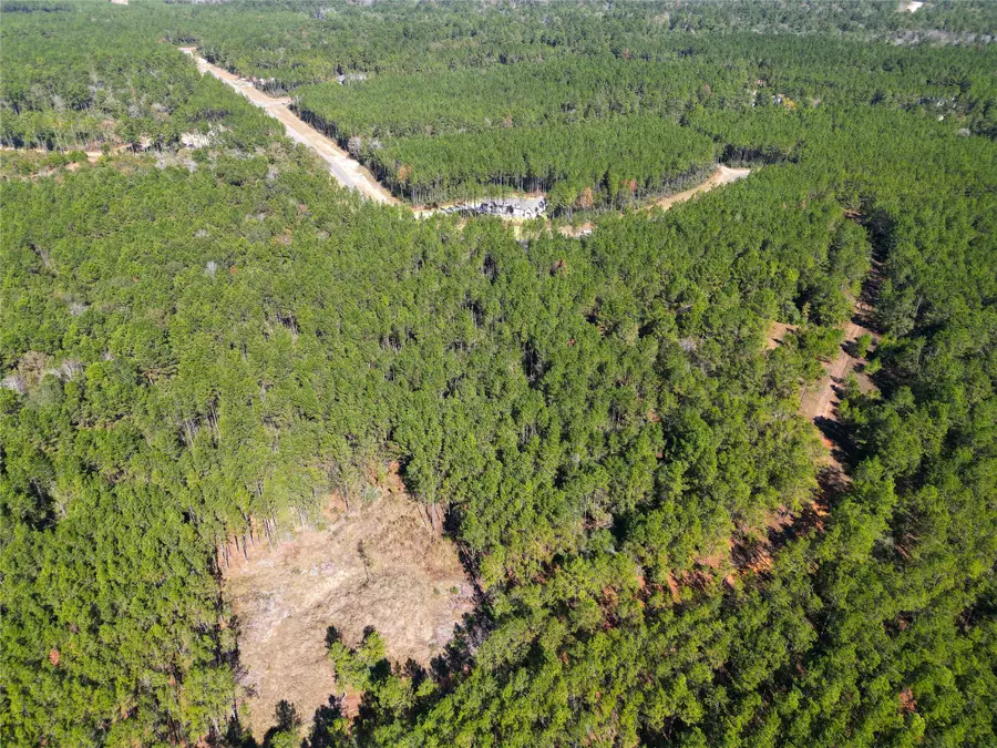 16235 Golden Wood Court, Willis, TX 77378 - Image #2