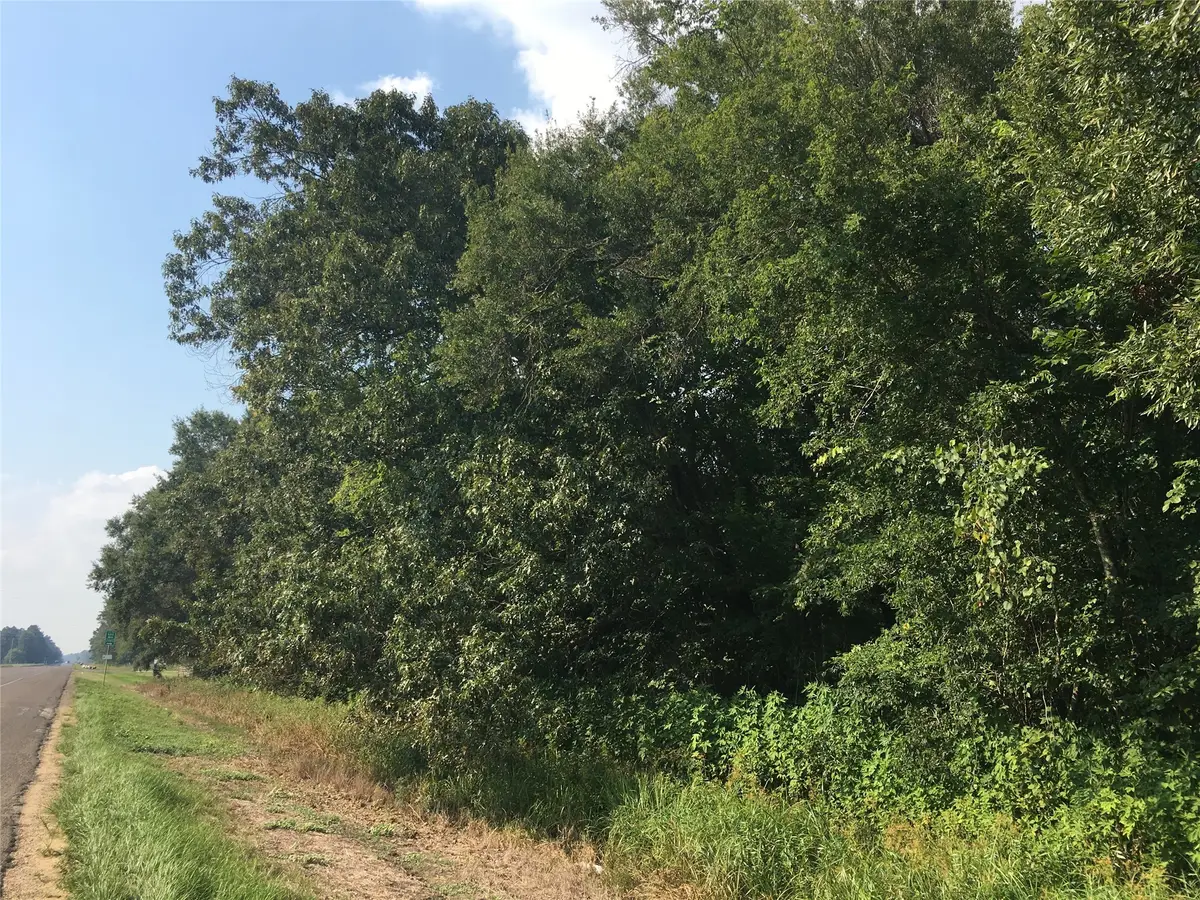 TBD HWY 321, Cleveland, TX 77327 - #1