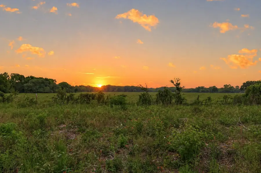 3526 W Fm 1093, Wallis, TX 77485 - #2