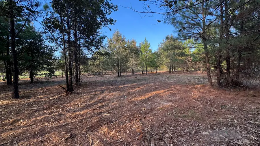 TBD Fm 1791, Richards, TX 77873 - #2