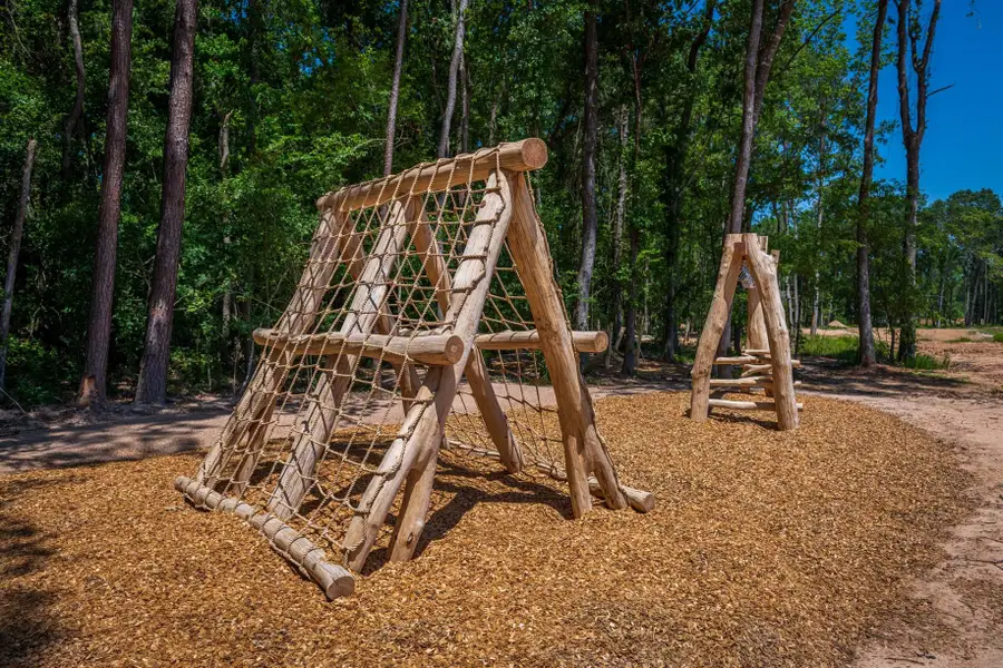 22131 Prater Ridge Lane, Porter, TX 77365 - #3