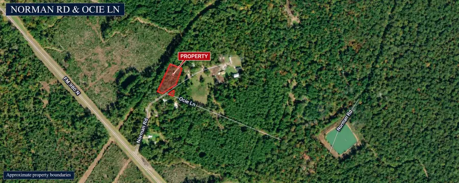211 Norman Road, Point Blank, TX 77364 - #2