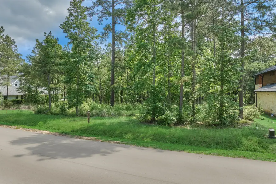 4490 Lily Bean Rd, Montgomery, TX 77316 - #3