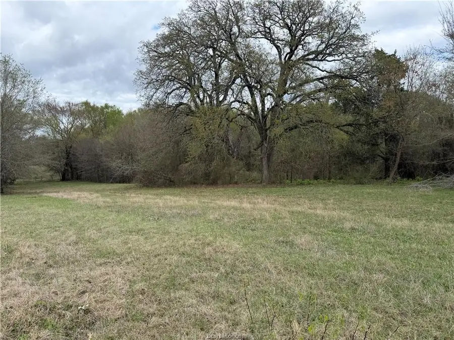TBD Sh 309, Other, TX 75144 - #2