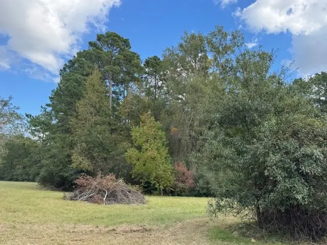 9 Morningside, Trinity, TX 75862 - Image #3