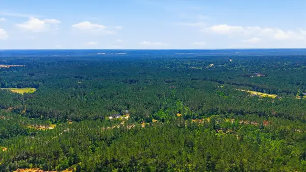 15388 Forest Grove Drive, Willis, TX 77378