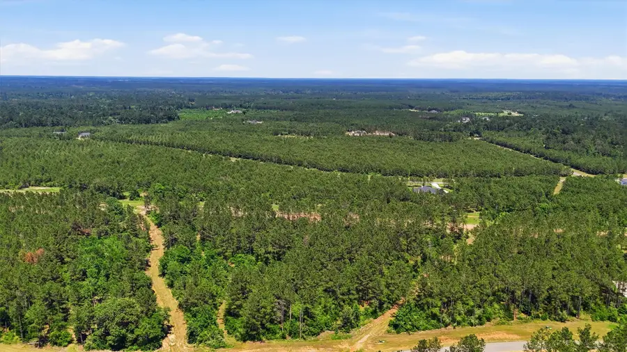 15388 Forest Grove Drive, Willis, TX 77378 - #3