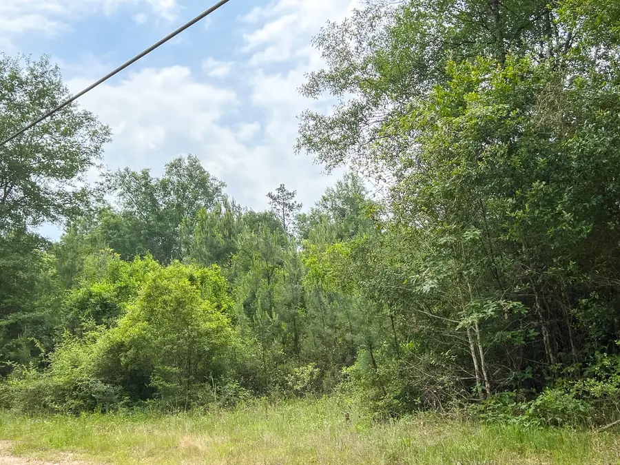 06 Fm 2937/old Arco Rd, Silsbee, TX 77656 - #2