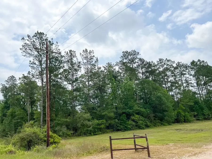 06 Fm 2937/old Arco Rd, Silsbee, TX 77656 - #3