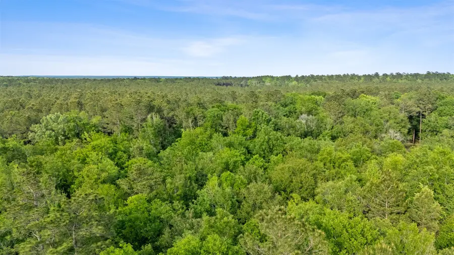 FM 222 Tbd Fm 222, Shepherd, TX 77371 - #3