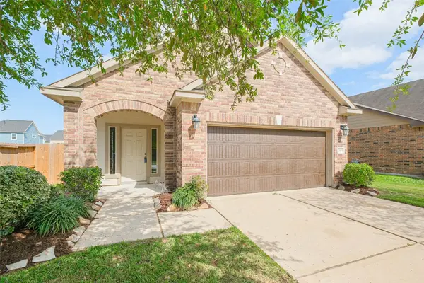 10103 Blue Point Juniper Drive, Houston, TX 77075