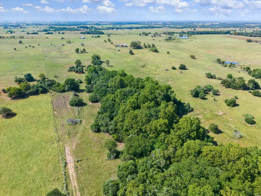 000 Ripple Lane, New Ulm, TX 78950 - #2