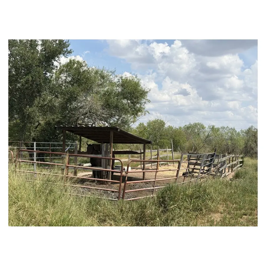 18124 County Road 163, Elmendorf, TX 78112 - #3