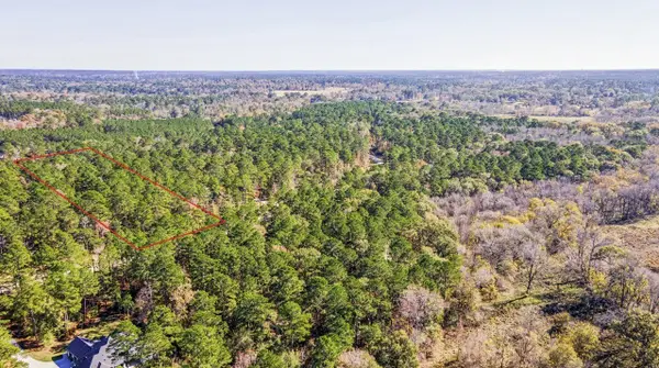 14-36-13 Sandpiper Drive, New Waverly, TX 77358