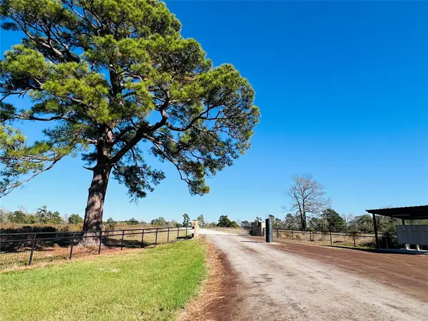 Lot 14 County Road 114, Centerville, TX 75833
