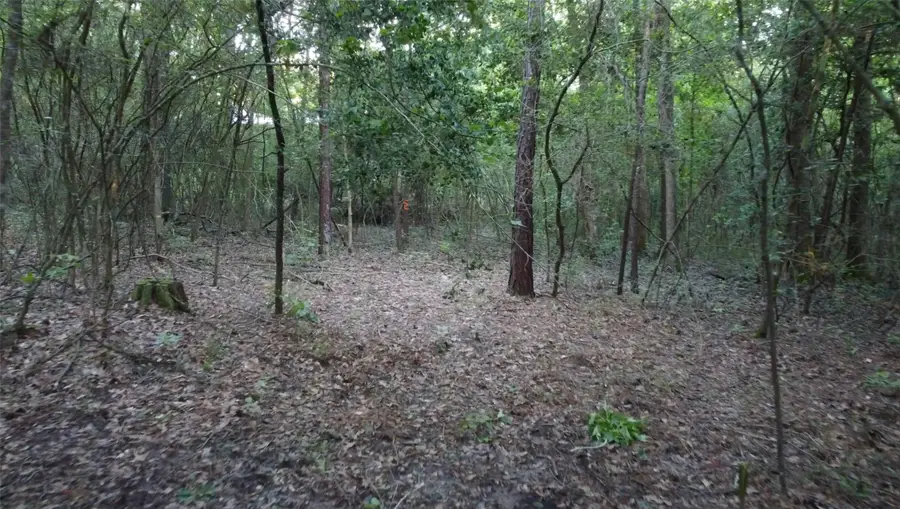 #3