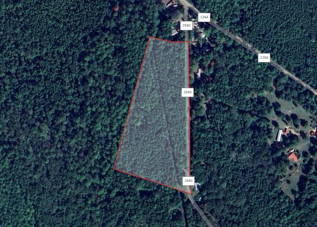 214 County Rd 2940, Shelbyville, TX 75973 - #1