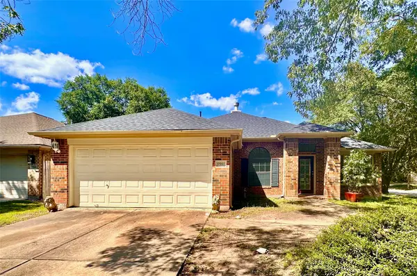 17202 Rancho Verde Way, Houston, TX 77095