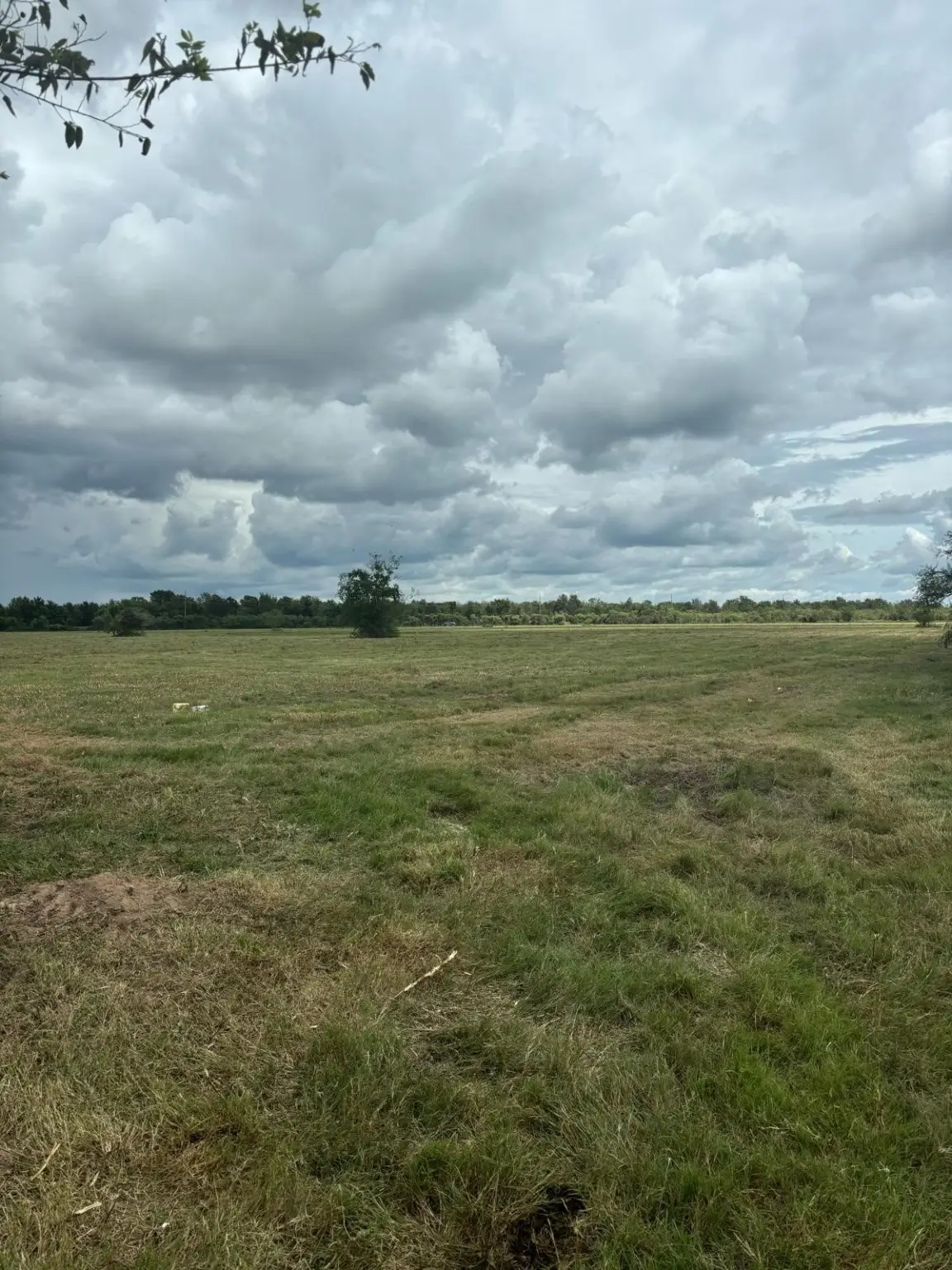 0 Orange Hill Road, Sealy, TX 77474 - Image #1