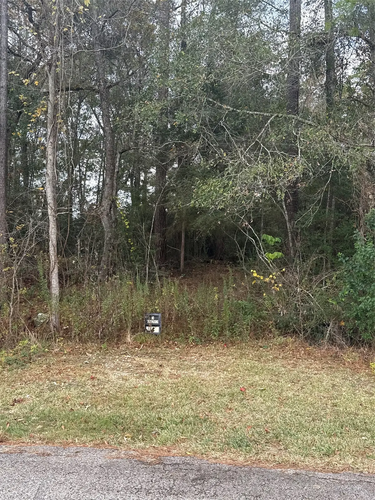 TBD County Road 427, Dayton, TX 77535 - #1