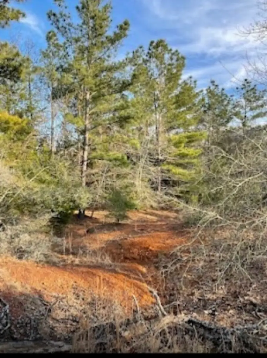 TBD Fm 1469, Marquez, TX 77865 - #2