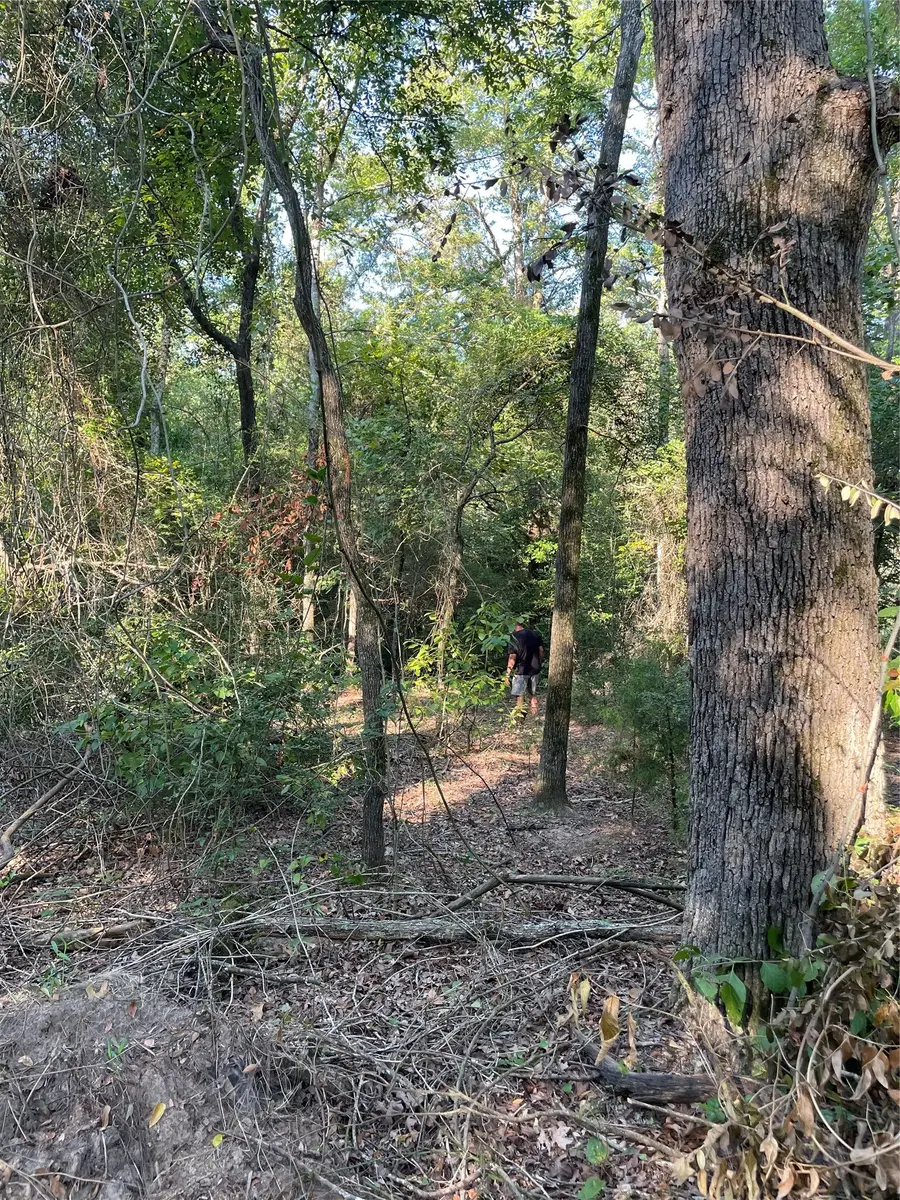 TBD Fm 1469, Marquez, TX 77865 - #3