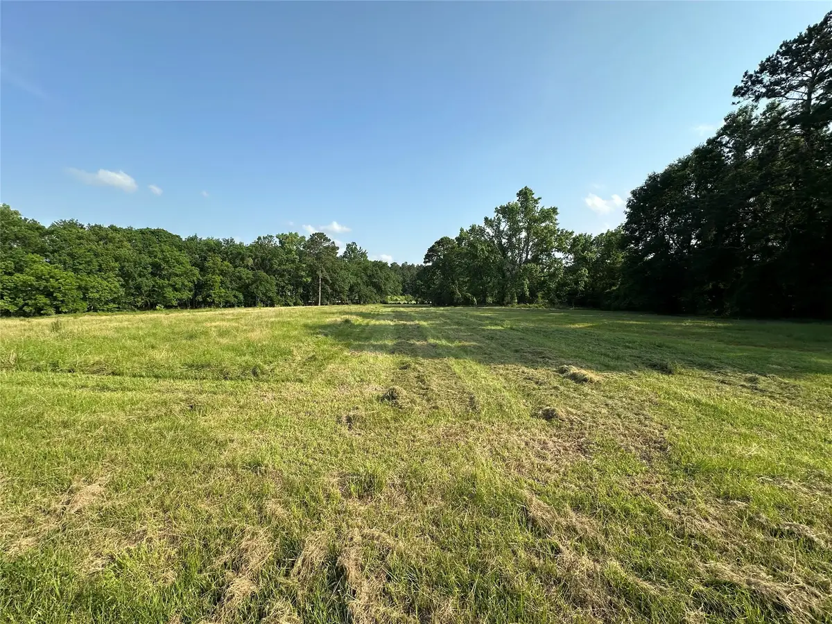220 E Dalton, Coldspring, TX 77331 - Image #1