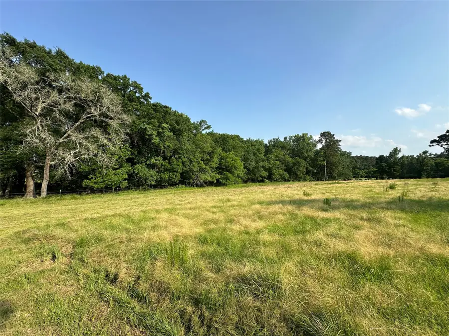 220 E Dalton, Coldspring, TX 77331 - Image #2