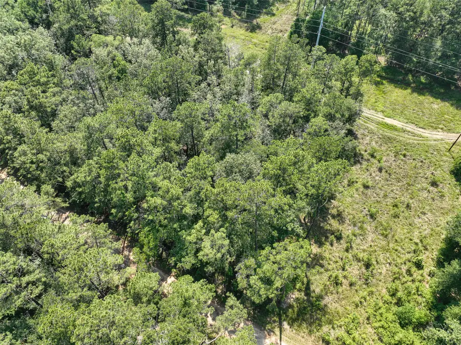 000 Fairway Dr, New Caney, TX 77357 - #2