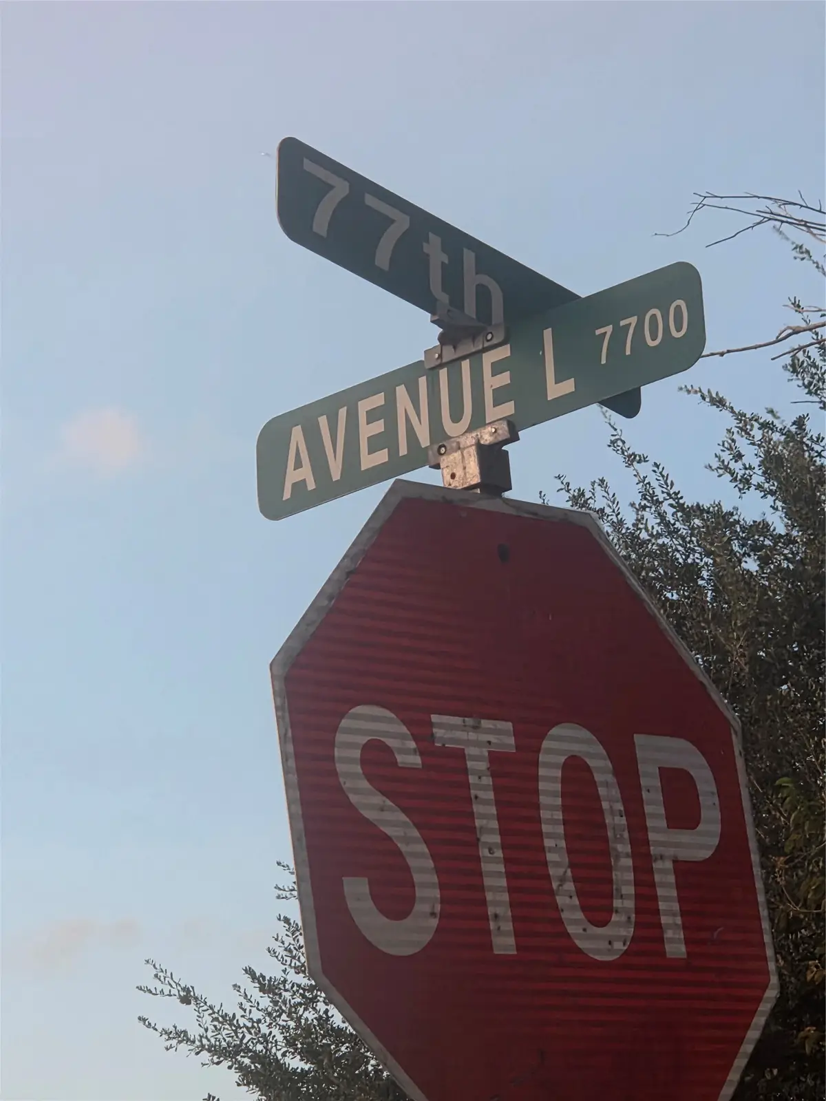 0 Avenue L, Houston, TX 77012 - #1