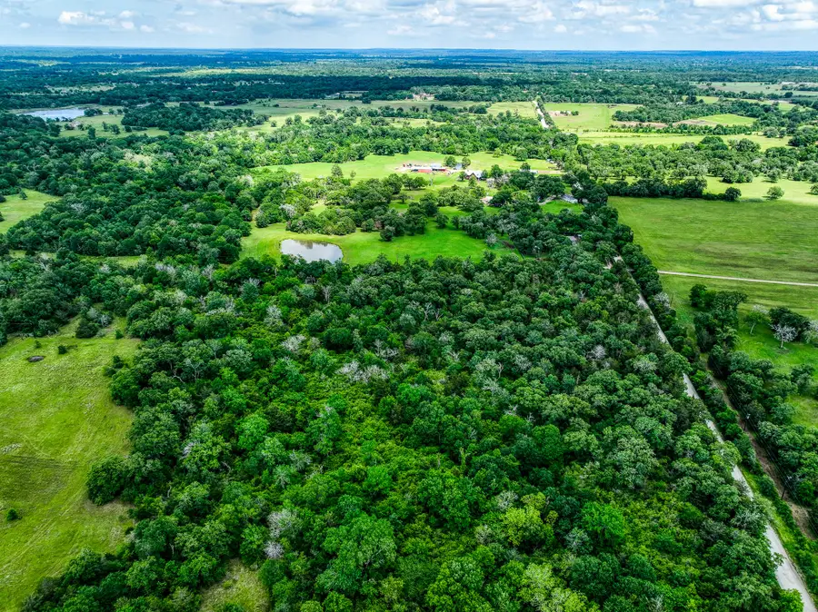 TBD County Road 132, Bedias, TX 77831 - #2