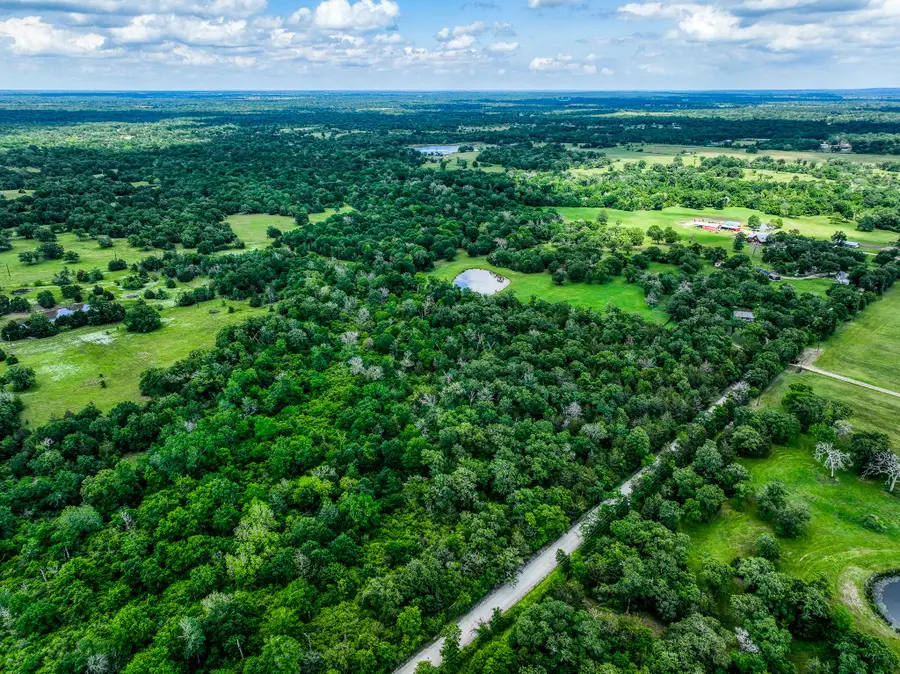 TBD County Road 132, Bedias, TX 77831 - #3