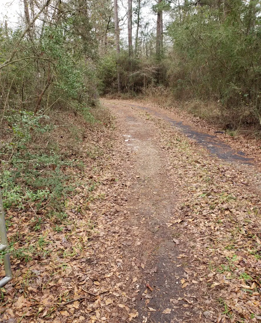 20392 Meadow Lake Road, Cleveland, TX 77328 - #3