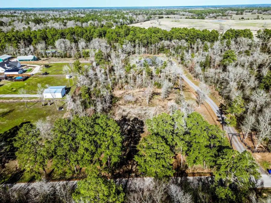 1087 Jones Road, New Waverly, TX 77358 - Image #2